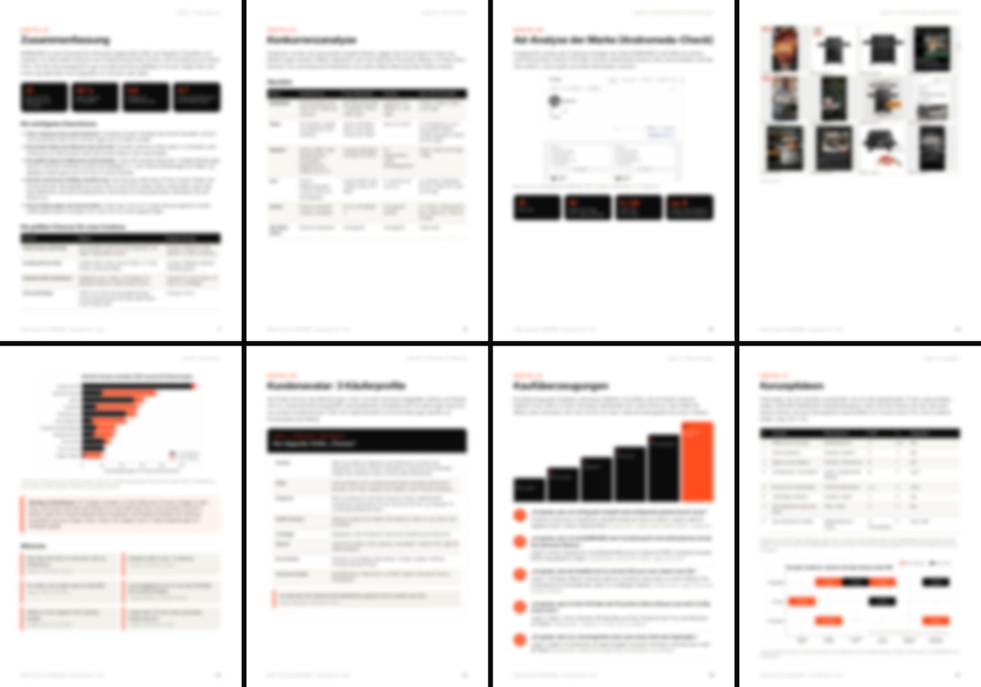 Unscharfe Seiten einer 50-seitigen Marken-Recherche: Zusammenfassung, Konkurrenzanalyse, Ad-Analyse, Kundenstimme, Käuferprofile, Kaufüberzeugungen, Konzeptideen